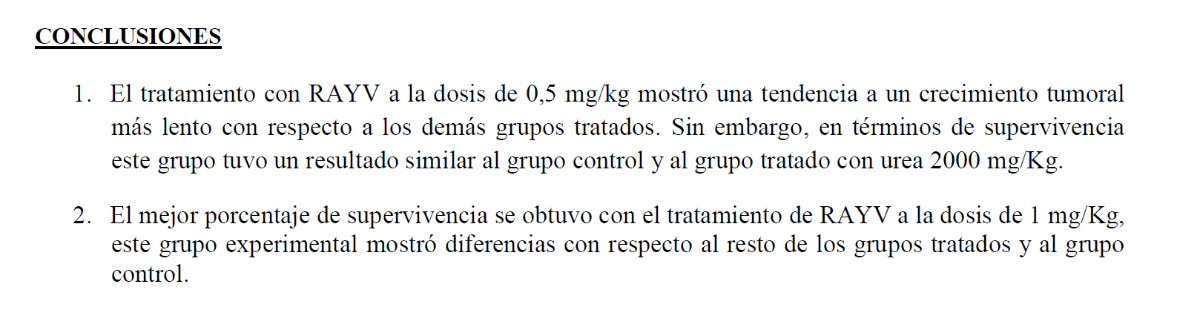 Informe preliminar