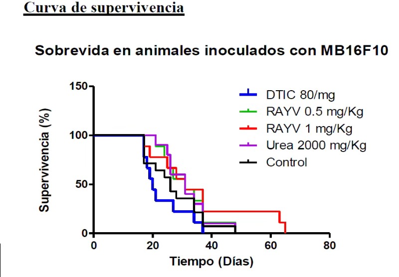 Informe preliminar